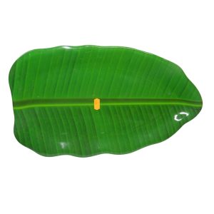 Plateau de Table en Plastique Rigide
