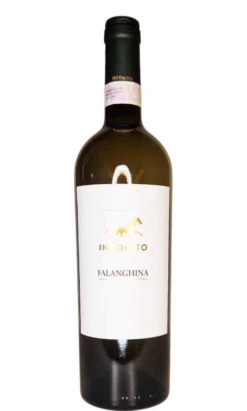 Campania IGT Falanghina / Indomito – Image 2
