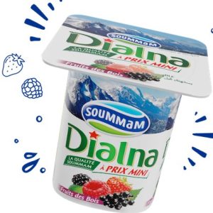 Yaourt Dialna Fruits des Bois – Pot 100g eChrily courses