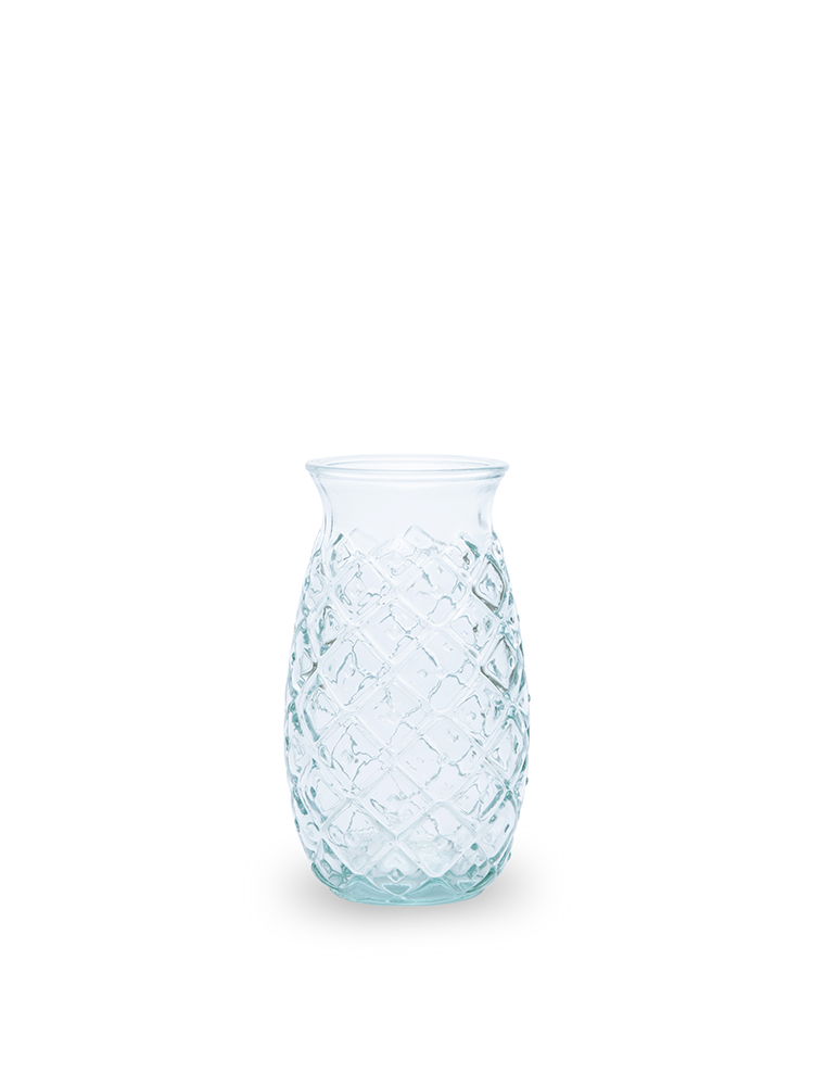 Verre Ananas Vide