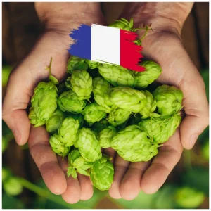 Golding En Cône (FR) 2024 – 250gr