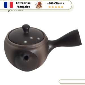 Théière Japonaise  Kyusu de Tokoname 340ml
