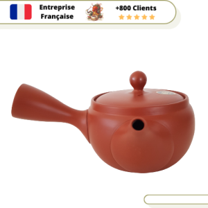 Théière Japonaise Tokoname Lefty Kyusu 360ml