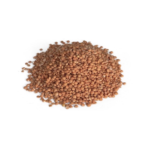 Lentilles 500 g – Image 2