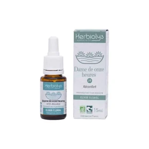 Star of Bethlehem – Dame de onze heures n°29 – Fleurs Dr Bach Bio