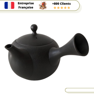 Théière Japonaise Tokoname Kyusu 290ml