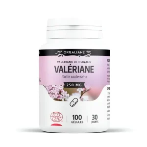 Valériane – 250 mg – 100 gélules – GPH
